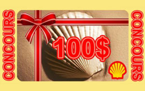 Carte cadeau Shell de 100$